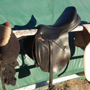 Selle hervé godignon