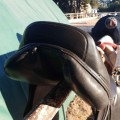 Selle hervé godignon