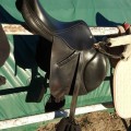 Selle hervé godignon