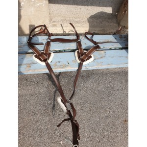 collier de chasse avec martinguale