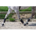 Guêtres ouvertes + protège-boulets équitation cheval Riding noir Fouganza