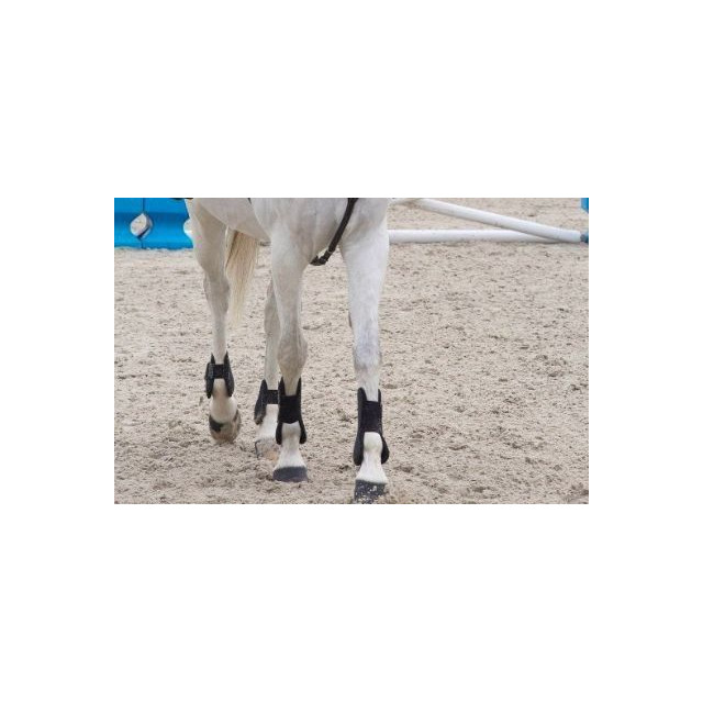 Guêtres ouvertes + protège-boulets équitation cheval Riding noir Fouganza
