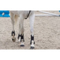 Guêtres ouvertes + protège-boulets équitation cheval Riding noir Fouganza