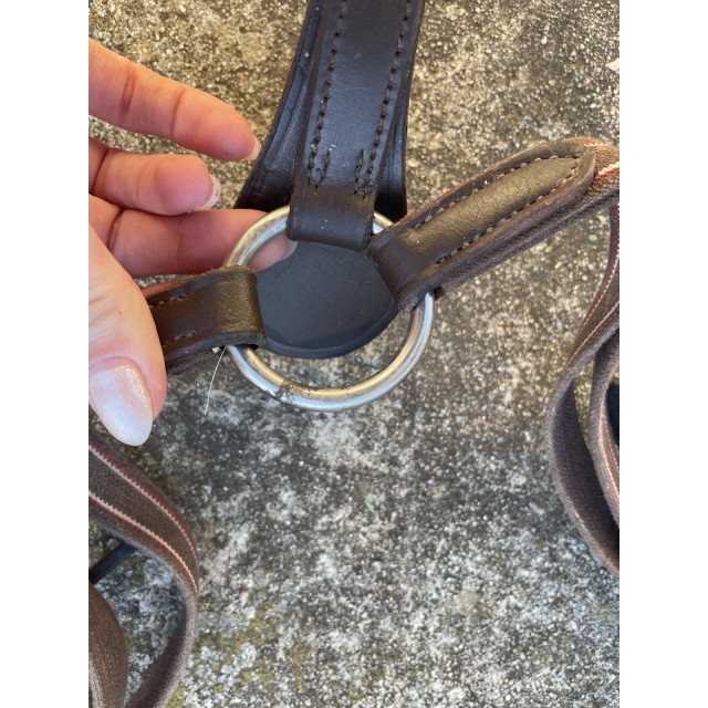 COLLIER DE CHASSE + MARTINGALE