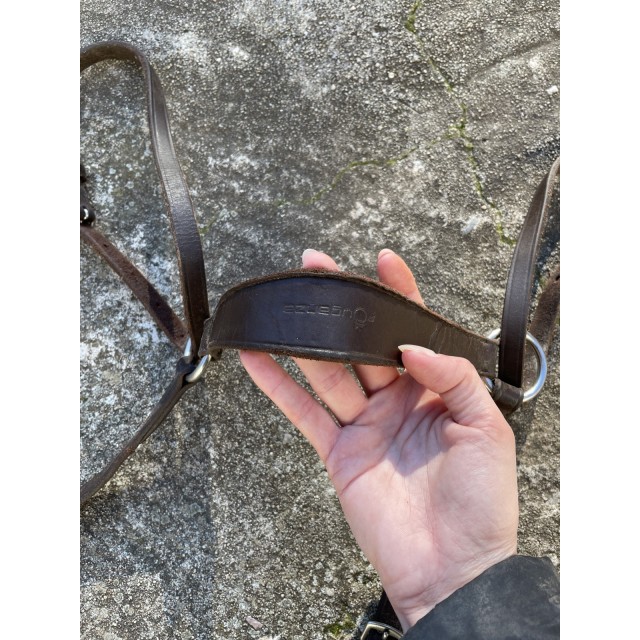 COLLIER DE CHASSE + MARTINGALE