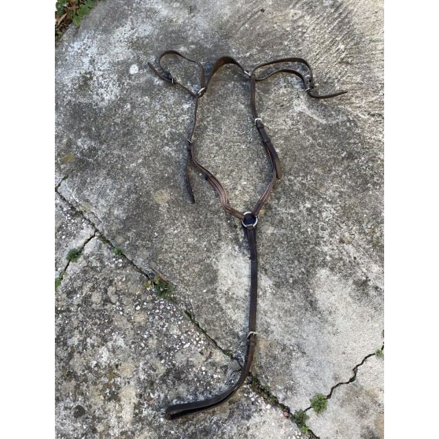 COLLIER DE CHASSE + MARTINGALE