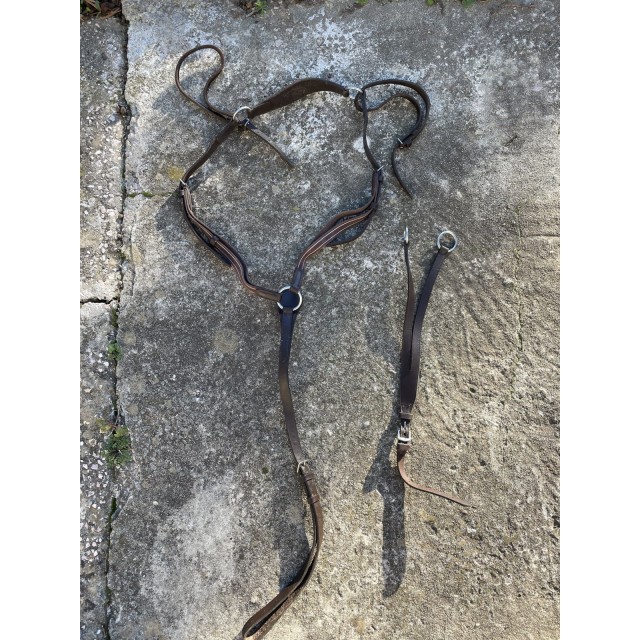 COLLIER DE CHASSE + MARTINGALE