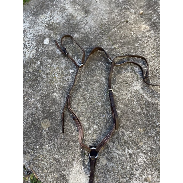 COLLIER DE CHASSE + MARTINGALE