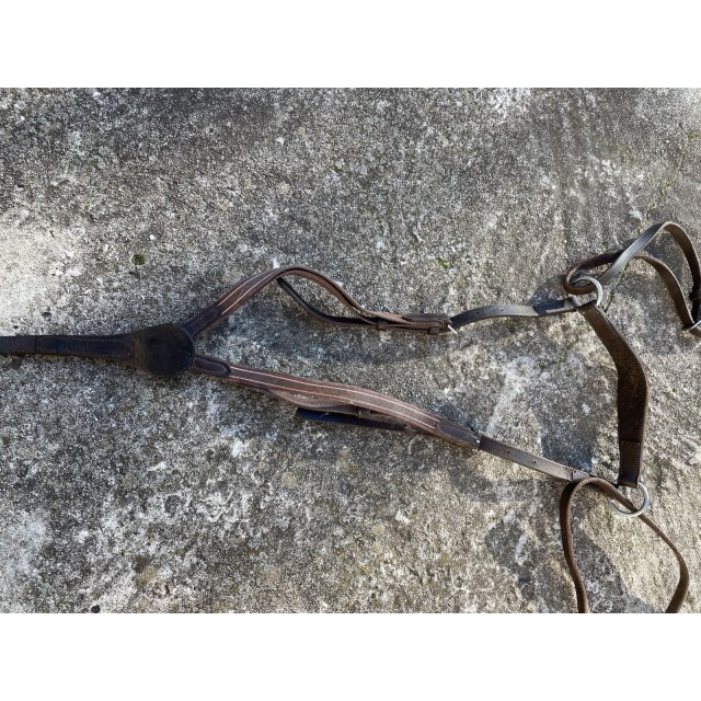 COLLIER DE CHASSE + MARTINGALE