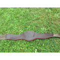 Sangle CWD anatomique 115