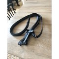 renne taille poney