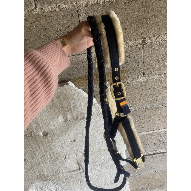 Licol + longe eskadron taille cob neuf