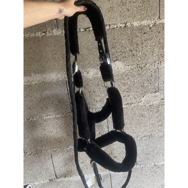 Licol taille FULL de type kentucky sans marque