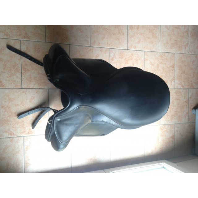 Vend selle de dressage Childeric tout équipés