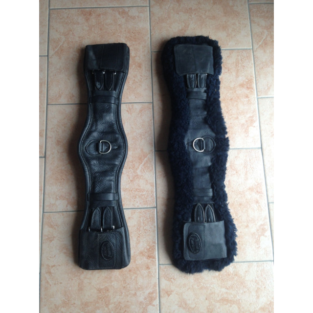 Vend selle de dressage Childeric tout équipés