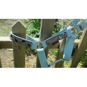 Licol et longe turquoise