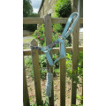 Licol et longe turquoise