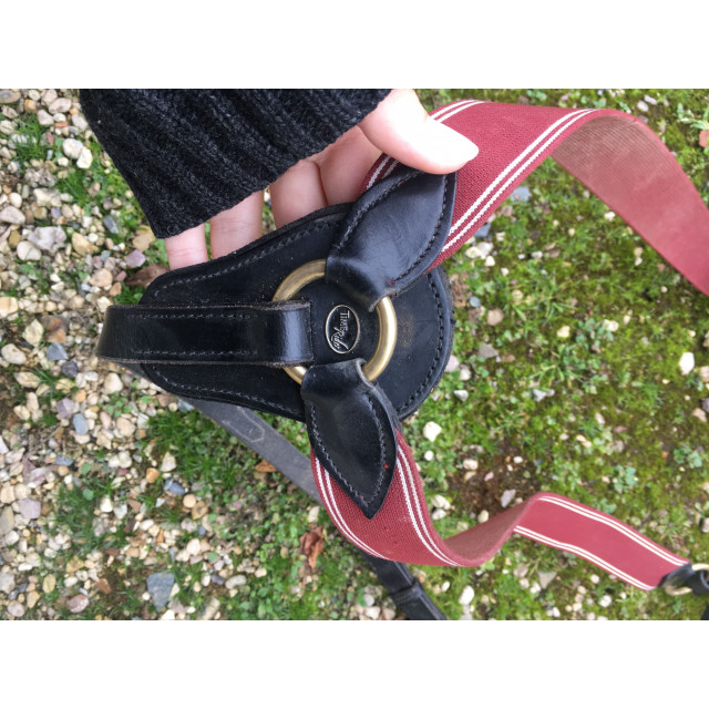 collier de chasse