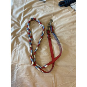Rênes western colorées