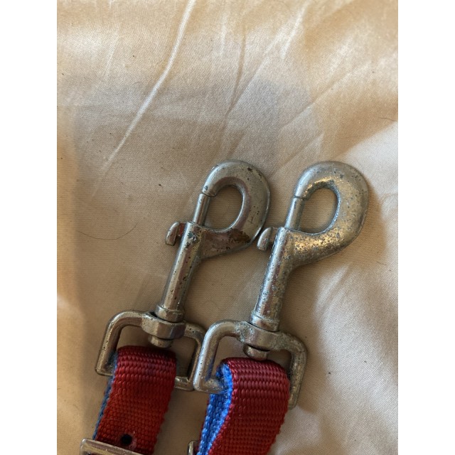 Rênes western colorées