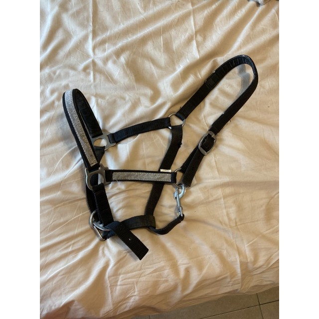 Licol noir avec paillette