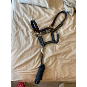 Licol bleu marine/vert sapin/gris