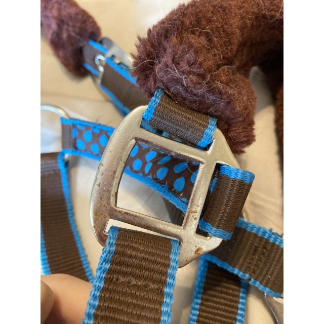 Licol avec moumoute à pois