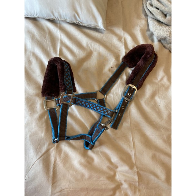 Licol avec moumoute à pois