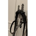Bridon dressage SD design