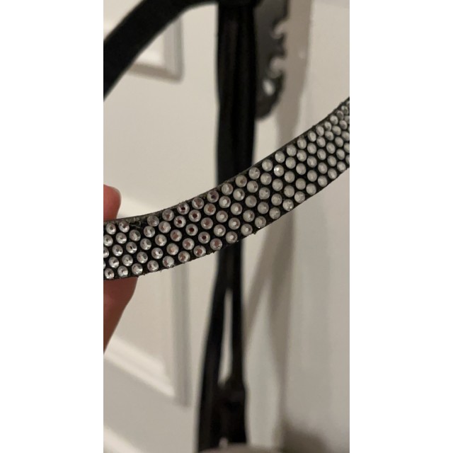 Bridon dressage SD design