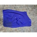 Chemise de box Amigo Horseware - Bleu - T.6'0"