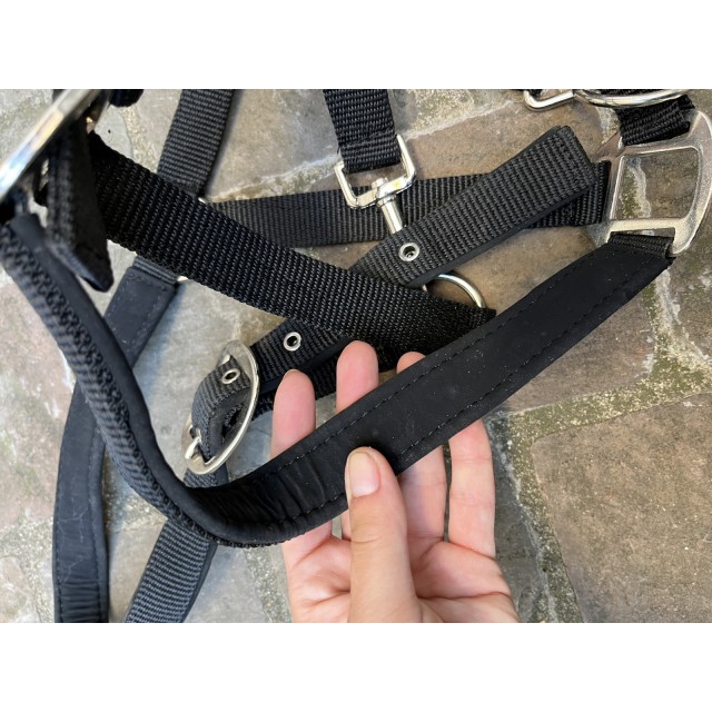 Licol cheval nylon noir