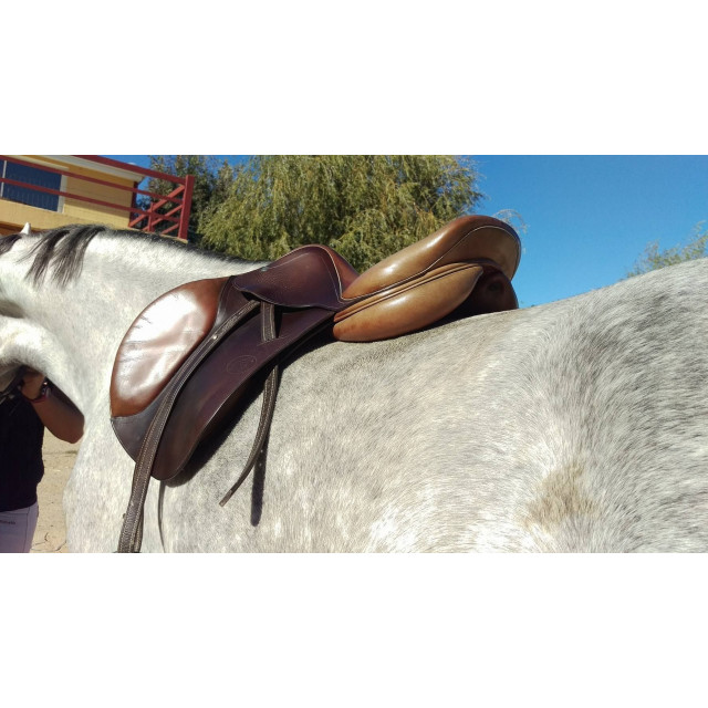 Selle Hervé Godignon 17pouces