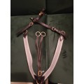 Collier de chasse