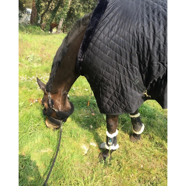 Couverture de présentation Kentucky