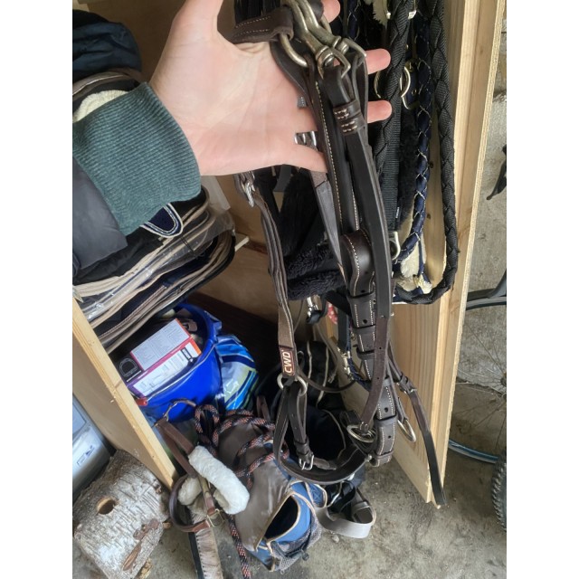 Collier de chasse martingale CWD taille 3