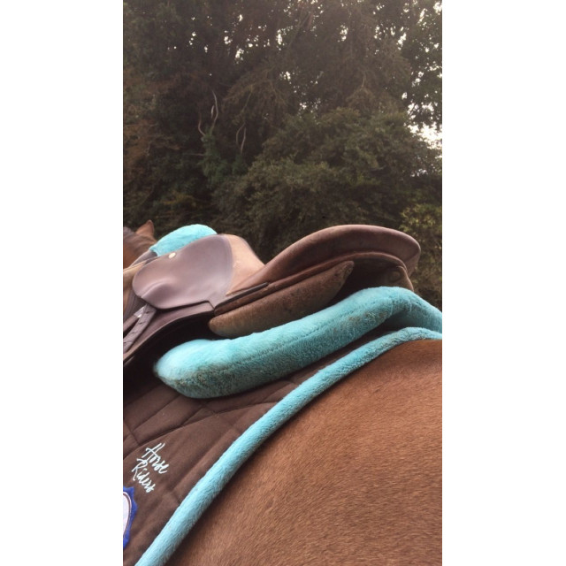 amortisseur Fouganza