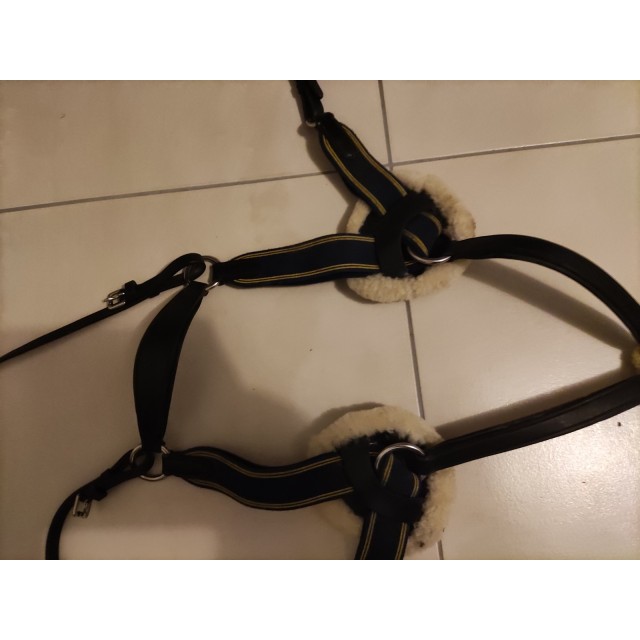 Collier de chasse