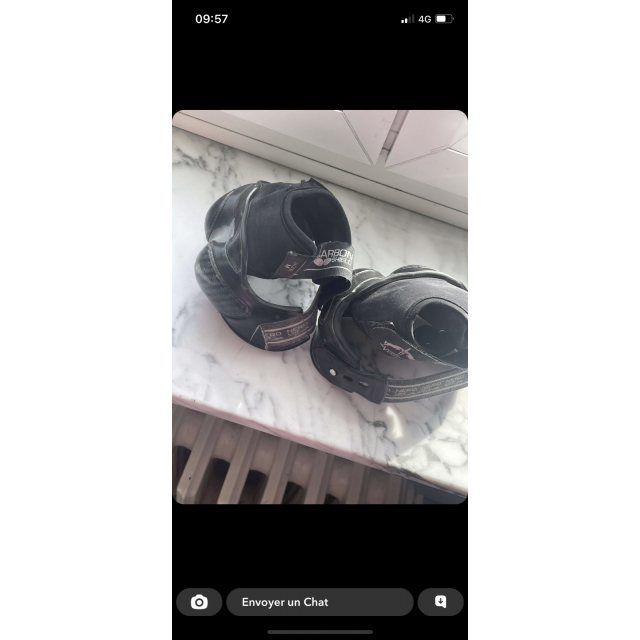 Protège glome carbon veredus