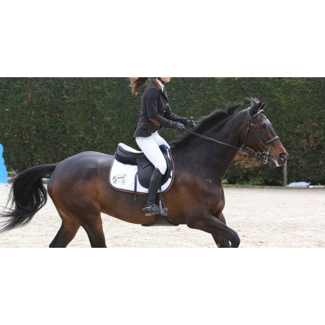 Veste de concours Nice komutekir