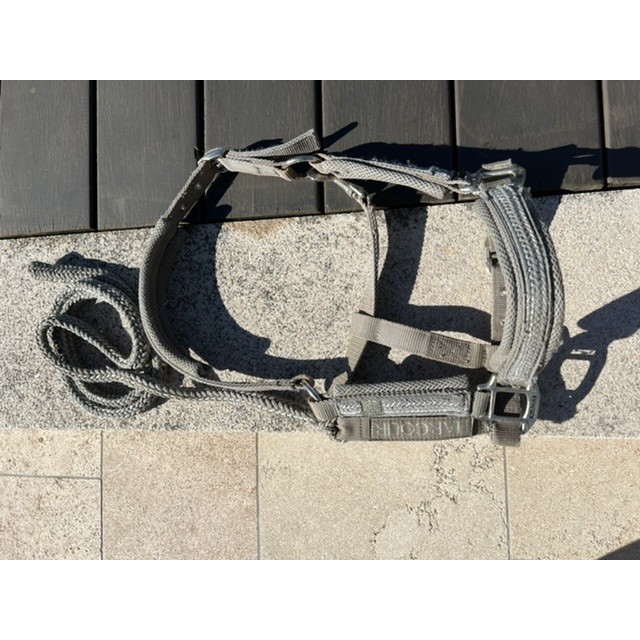 Licol avec longe assortie HARCOUR