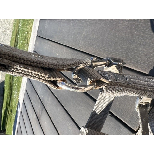 Licol avec longe assortie HARCOUR