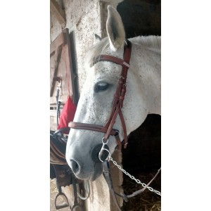 Bridon anatomique fouganza 900