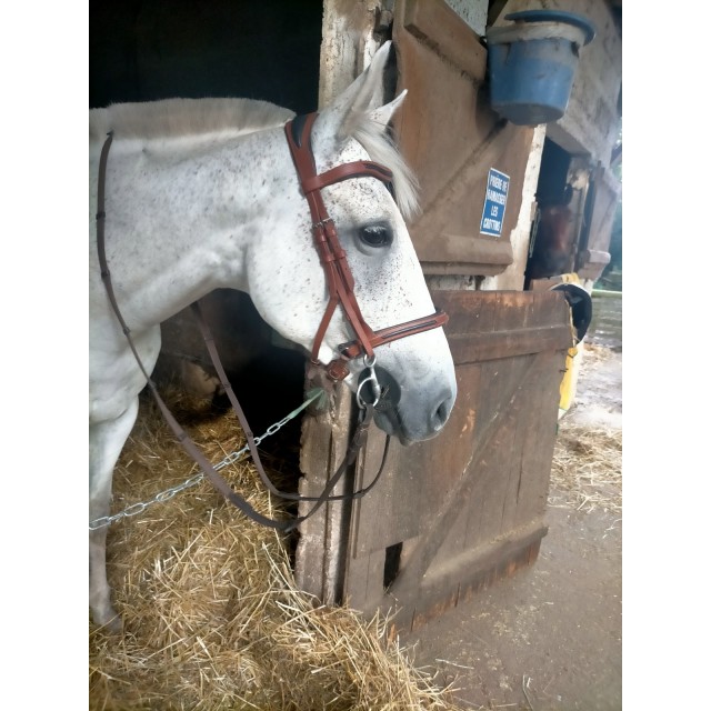 Bridon anatomique fouganza 900