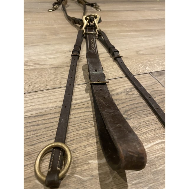 Collier de chasse avec martingale