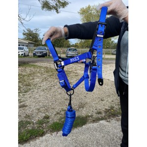 Licol en nylon POOLS taille full