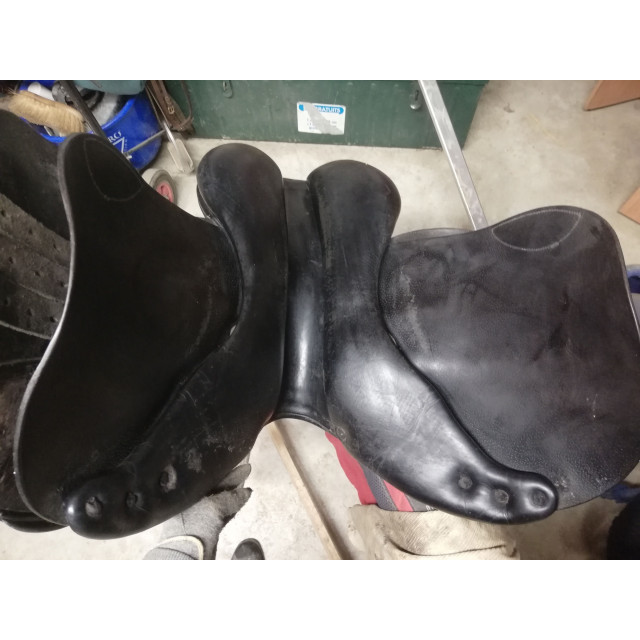 Selle Childeric 17.5