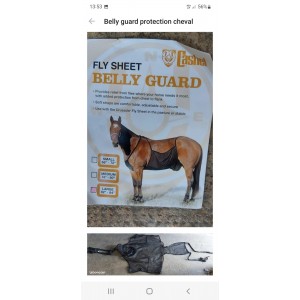 Filet ventre protection