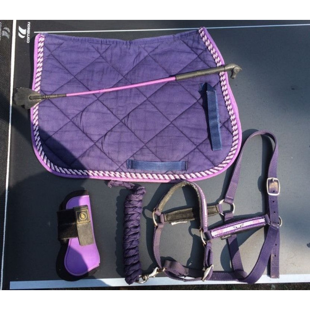 Tapis violet