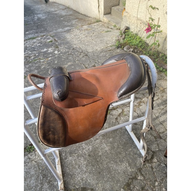 Bardette shetland